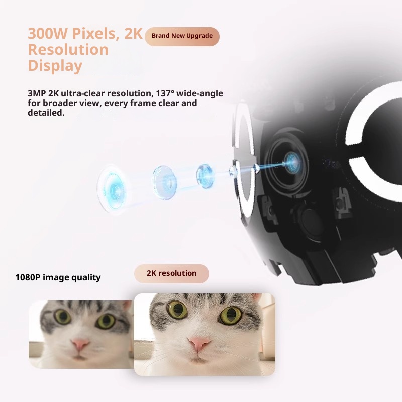 Enabot ROLA Mini Smart Robot I - Smart Home Project recensie en prijs